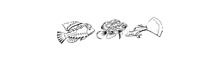 Fishing  Free Fonts Download