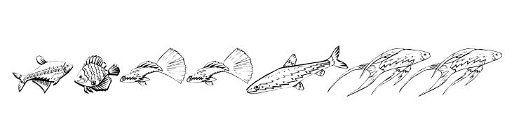 Fishing  Free Fonts Download