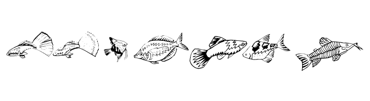 Fishing  Free Fonts Download