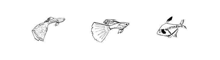 Fishing  Free Fonts Download