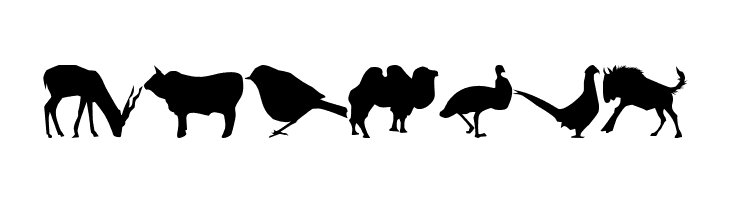 Jasna_P  Free Fonts Download