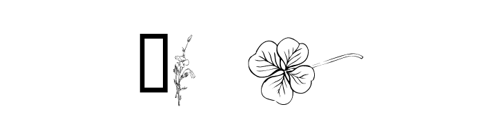 wmflowers2  Free Fonts Download
