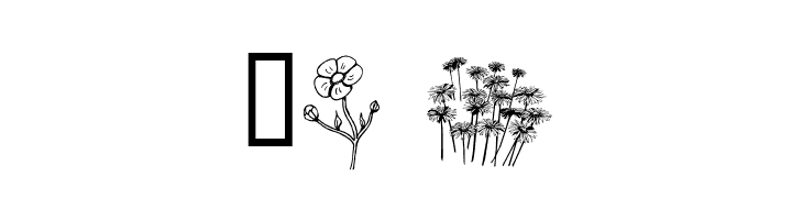 wmflowers2  Free Fonts Download