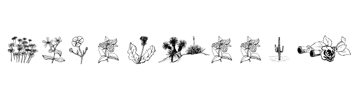 wmflowers2  Free Fonts Download