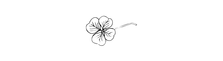 wmflowers2  Free Fonts Download