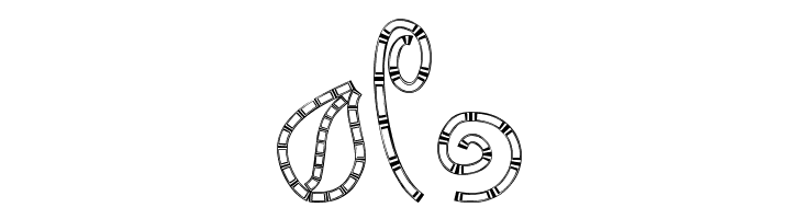 MTF Chunkie Doodle  Free Fonts Download