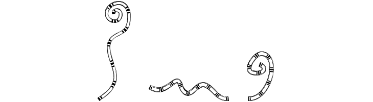 MTF Chunkie Doodle  Free Fonts Download