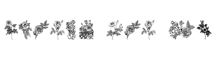 Rose  Free Fonts Download