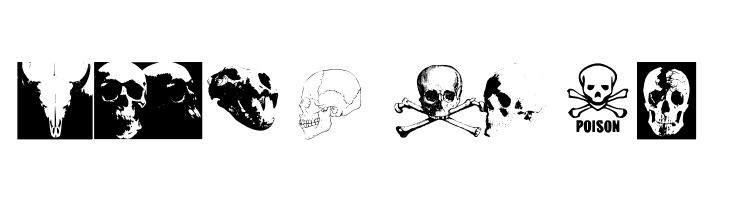 SKULL TS 2  Free Fonts Download