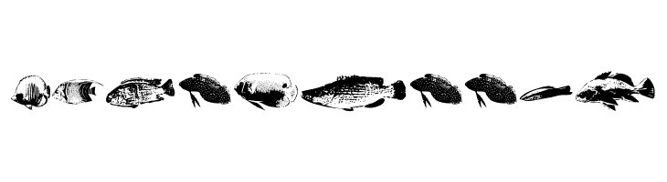 FishyPrint One AOE  Free Fonts Download