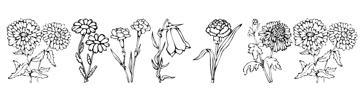 DT Flowers 1  Free Fonts Download