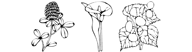 DT Flowers 1  Free Fonts Download