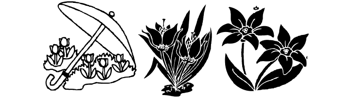 DT Flowers 2  Free Fonts Download