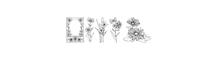 Floral Design  Free Fonts Download