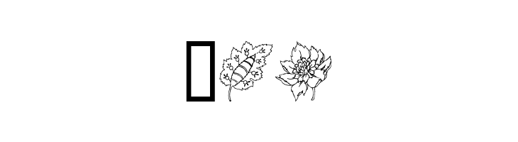 Traditional Floral Design  Free Fonts Download