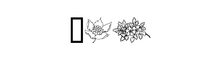 Traditional Floral Design  Free Fonts Download