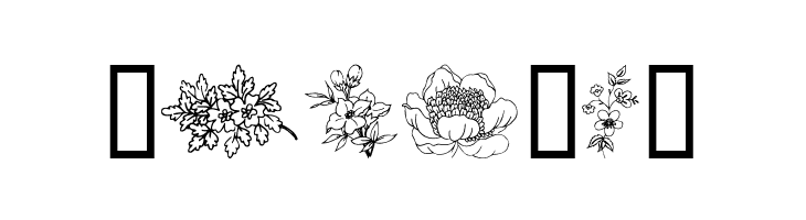 Traditional Floral Design  Free Fonts Download