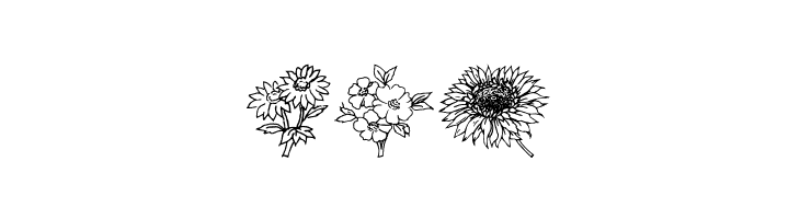 Traditional Floral Design III  Free Fonts Download