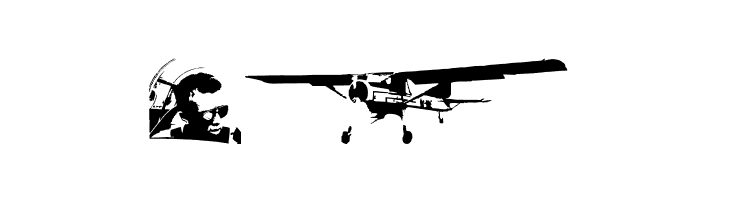 letiskovy flashtrace  Free Fonts Download