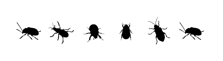 The Beetles  Free Fonts Download