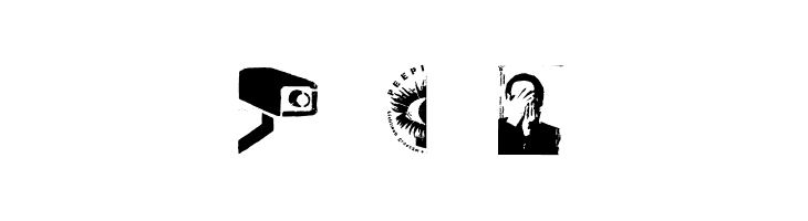 PlakkenWalls  Free Fonts Download