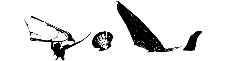 Surf Bat [Windsurfing Dingbats]  Free Fonts Download