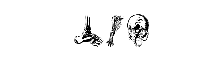 WeInside  Free Fonts Download