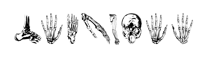 WeInside  Free Fonts Download