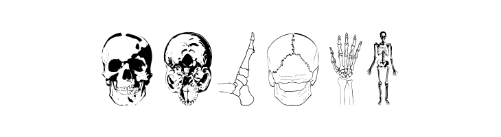 WeInside  Free Fonts Download