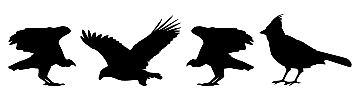 Birds of a Feather  Free Fonts Download