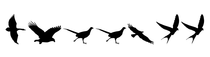 Birds of a Feather  Free Fonts Download