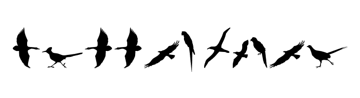 Birds of a Feather  Free Fonts Download