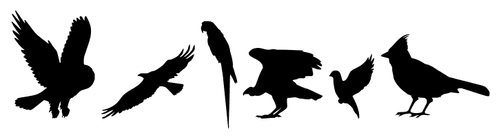 Birds of a Feather  Free Fonts Download