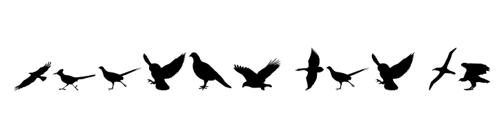 Birds of a Feather  Free Fonts Download