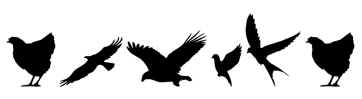 Birds of a Feather  Free Fonts Download