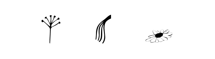 Plants  Free Fonts Download