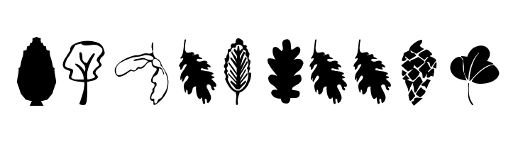 Plants  Free Fonts Download