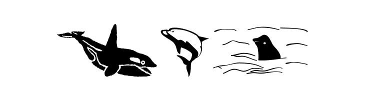 Orcas  Free Fonts Download