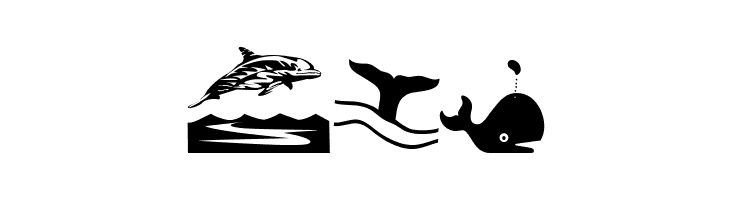 Orcas  Free Fonts Download