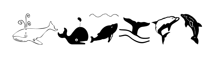 Orcas  Free Fonts Download