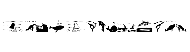 Orcas  Free Fonts Download