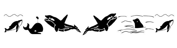 Orcas  Free Fonts Download
