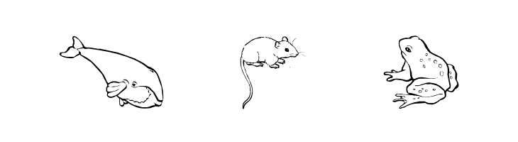 Nina's Animals  Free Fonts Download