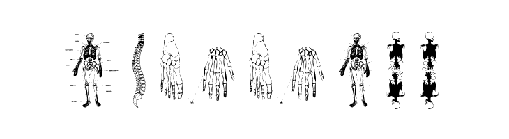 TaxTaxation  Free Fonts Download