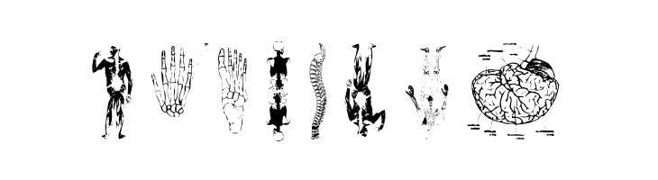 TaxTaxation  Free Fonts Download