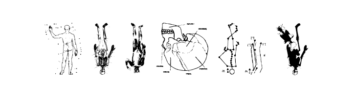 TaxTaxation  Free Fonts Download