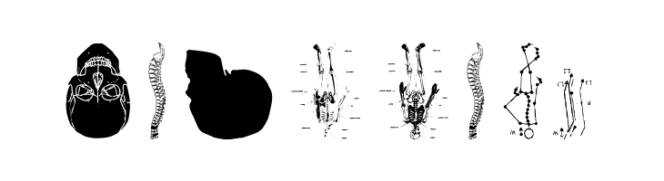 TaxTaxation  Free Fonts Download