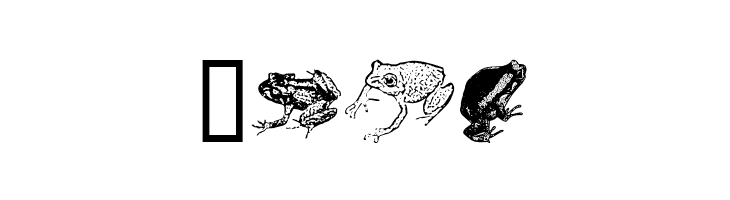 AmphibiPrint  Free Fonts Download