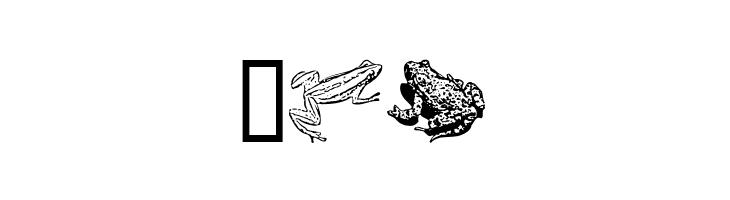 AmphibiPrint  Free Fonts Download