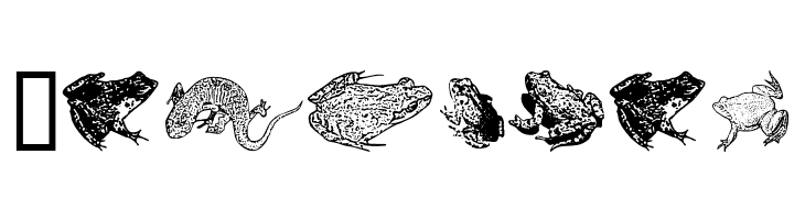 AmphibiPrint  Free Fonts Download